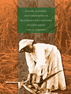 cover image of Sugar, Slavery, and Freedom in Nineteenth-Century Puerto Rico